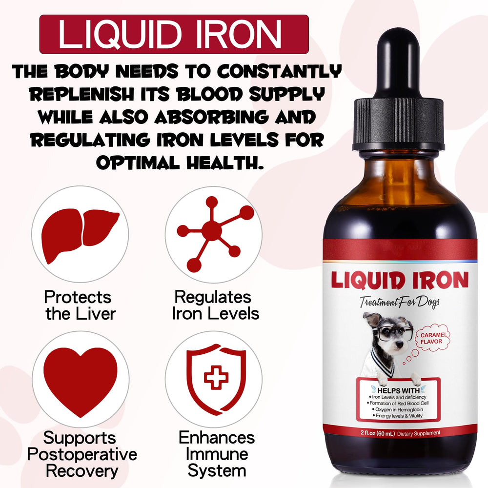 FSLHCY anemia-support-dog-health emphasizes nutritional support for canine blood health.