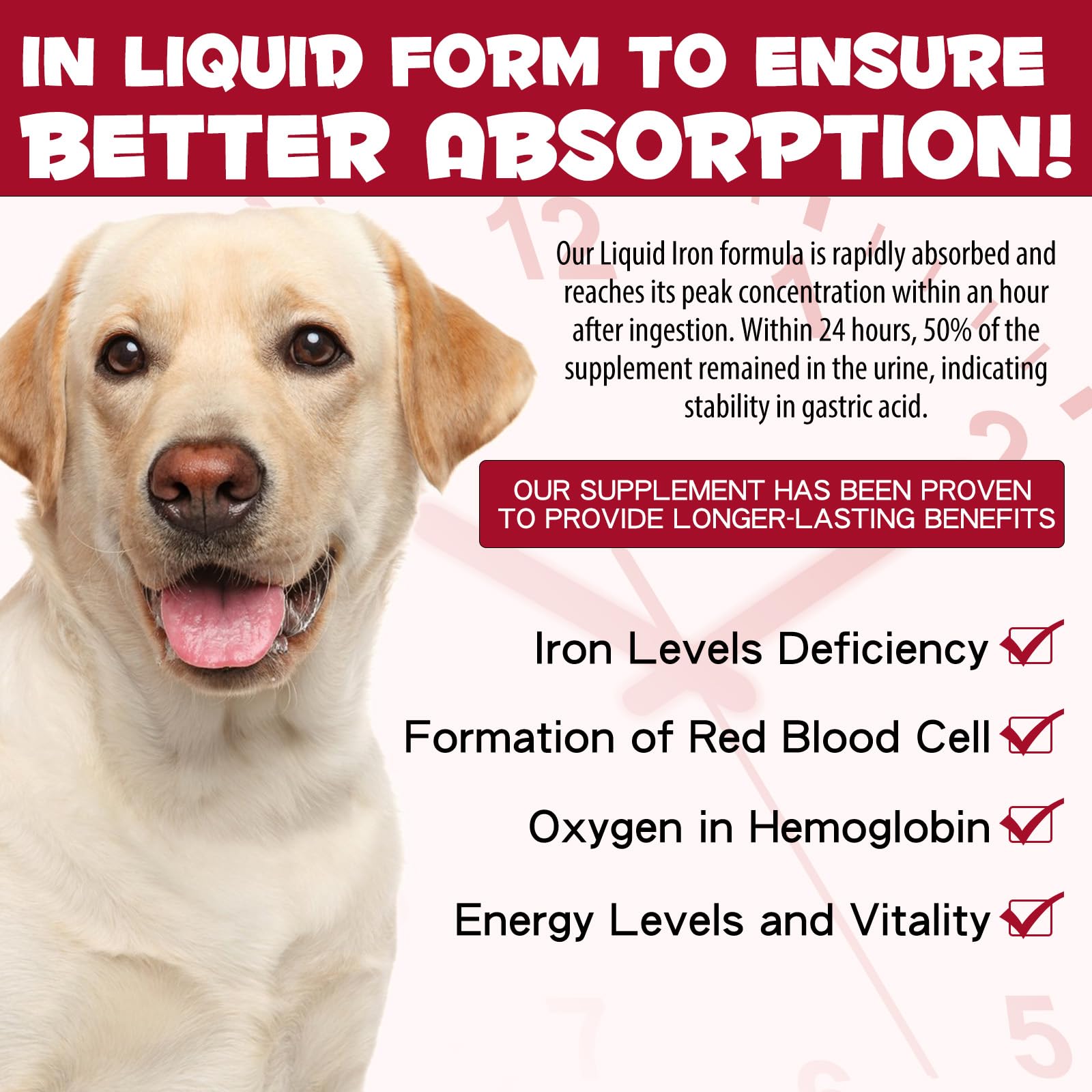 FSLHCY dog-energy-activity highlights potential vitality support.