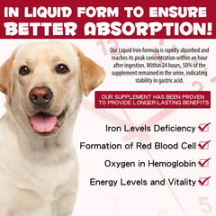 FSLHCY dog-energy-activity highlights potential vitality support.