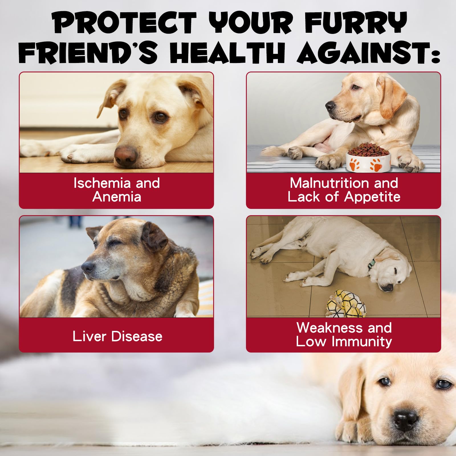 FSLHCY liquid-iron-drops-dosing demonstrates precise dosing for daily pet care.