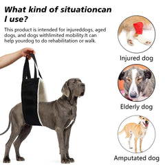 FSUHHIAD hip support harness designed for large breeds aiding rear lifting