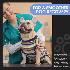 FUAMEY dog bodysuit as an alternative to an E-collar for licking prevention.