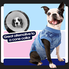 FUAMEY dog post-op wear shown with diaper compatibility for practical care.