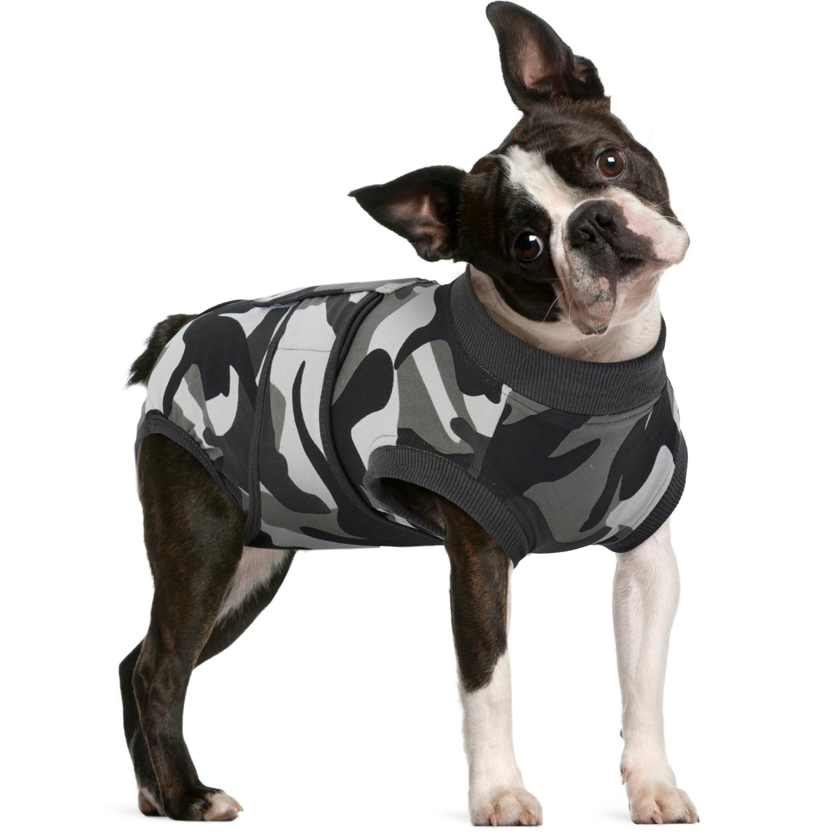 FUAMEY Dog Recovery Suit back-closure design supports easy wearing and post-op wound protection.