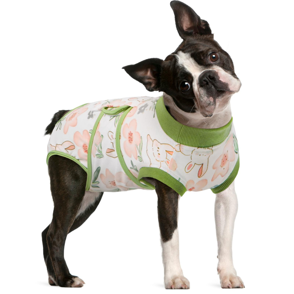 FUAMEY Dog Recovery Suit back view for full-body post-surgery protection