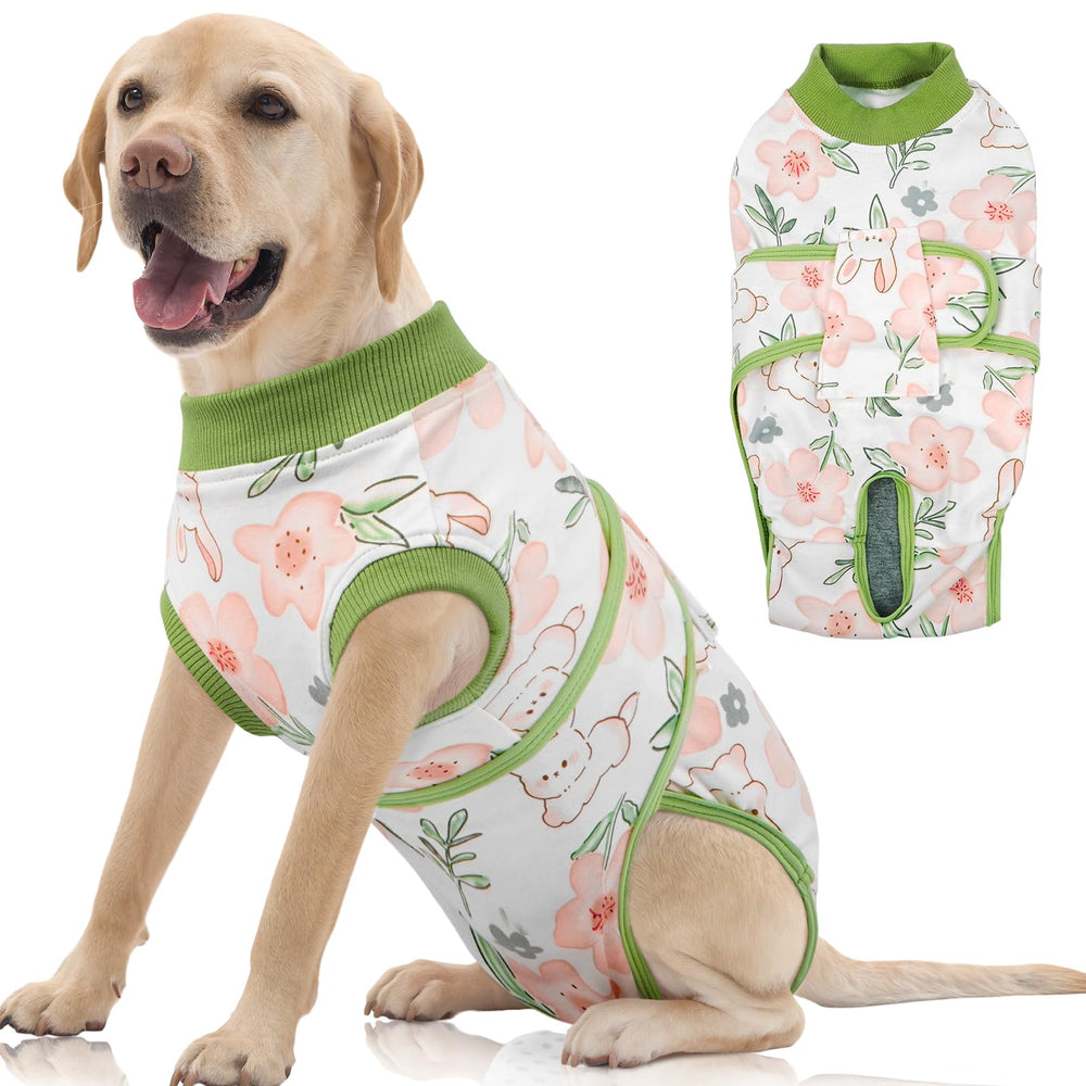 FUAMEY dog recovery suit worn by a dog post-surgery for wound protection and comfort.
