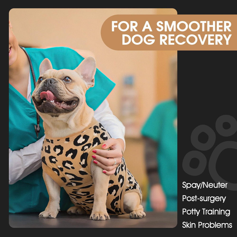 FUAMEY recovery onesie for neuter healing offers gentle coverage