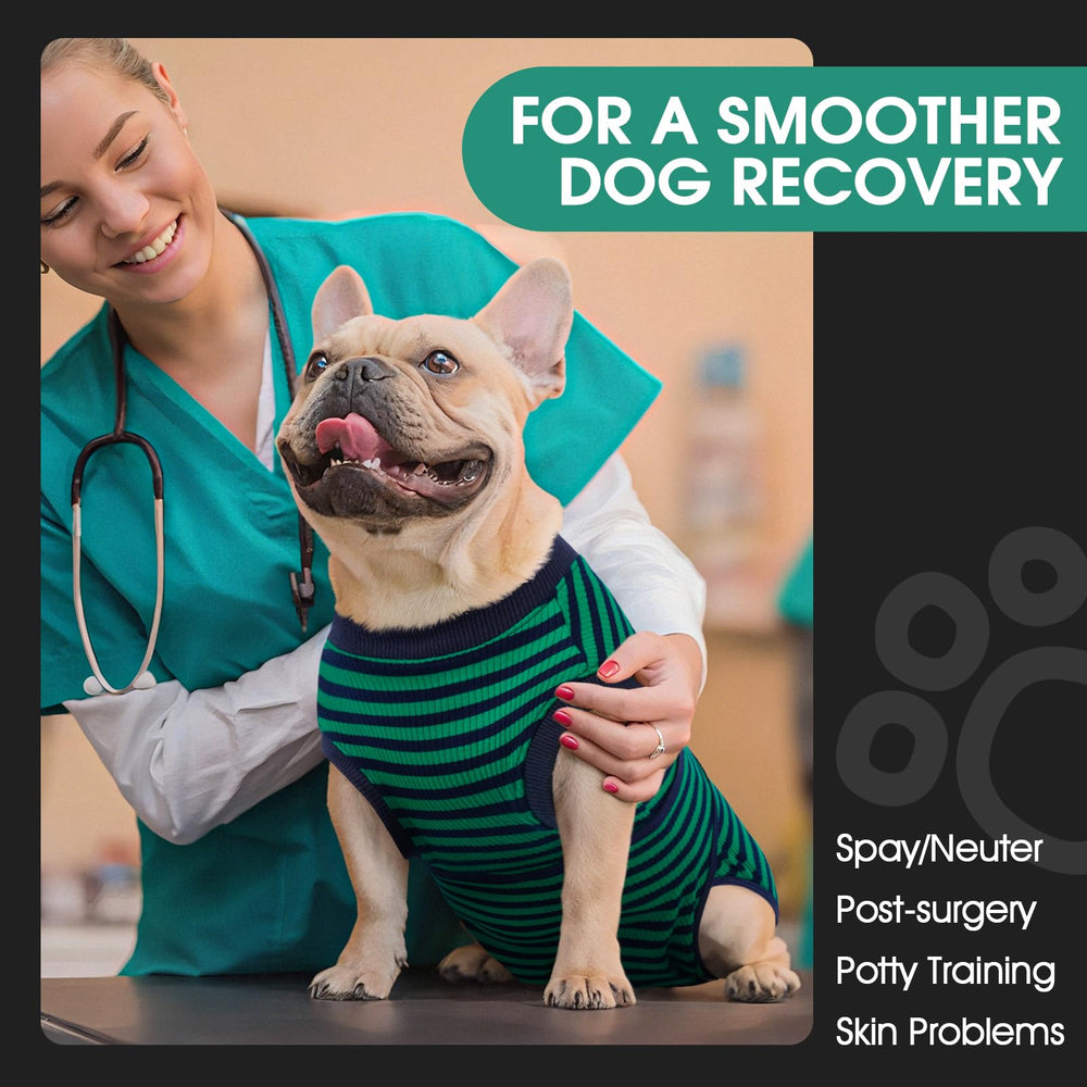 FUAMEY recovery suit prevents licking while keeping dog comfortable