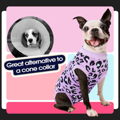 FUAMEY recovery suit used for postpartum care of a female dog.