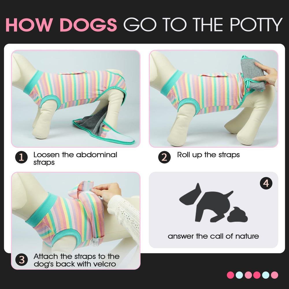 Size guide shows XS to XXL fit for various breeds