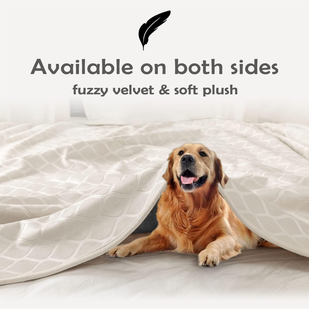 Fuguitex blanket protecting sofa surface against spills and pet hair