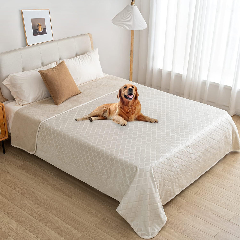 Multiple Fuguitex size options shown to fit different spaces and pets.