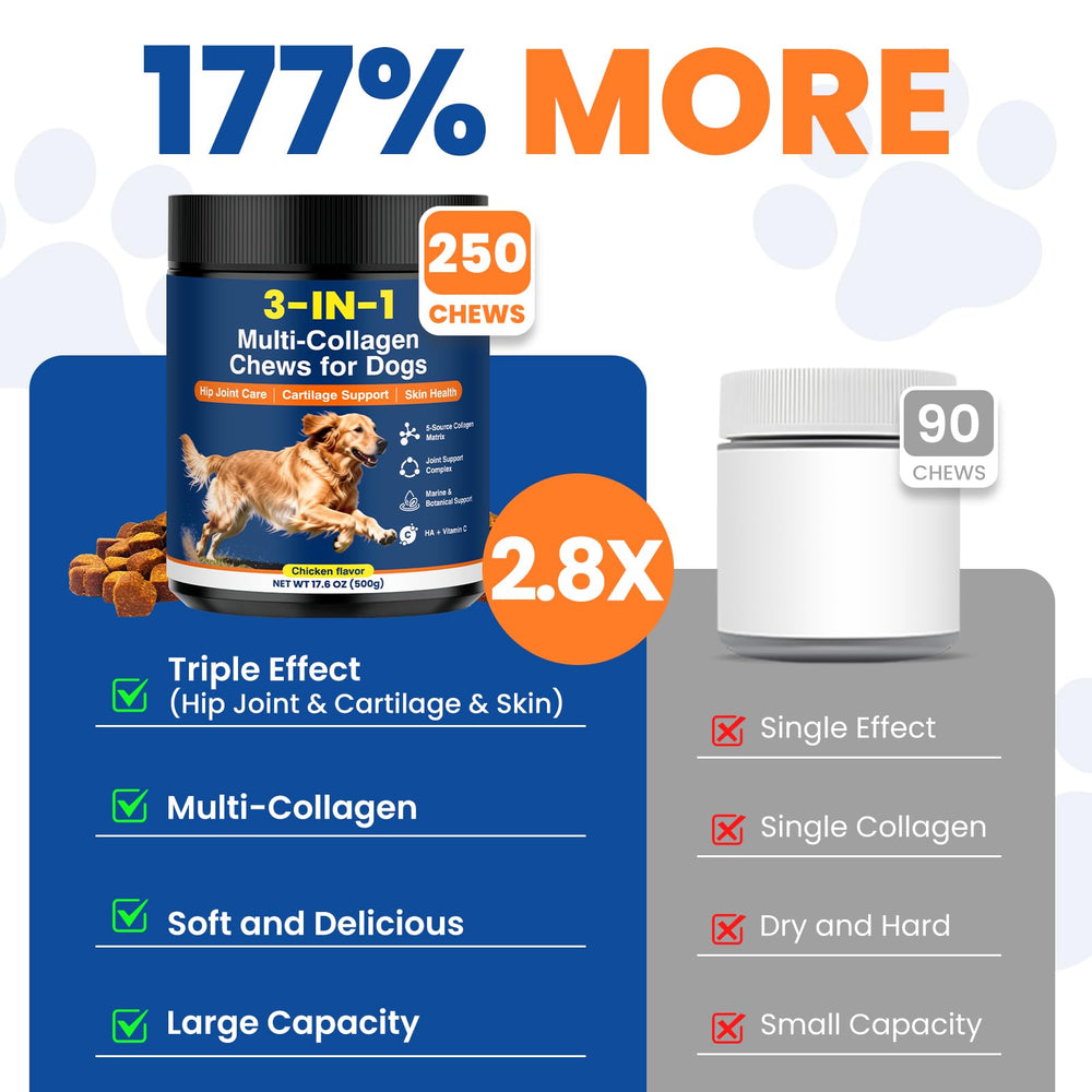 Fuionka image showing shiny coat and healthy skin with supplement support