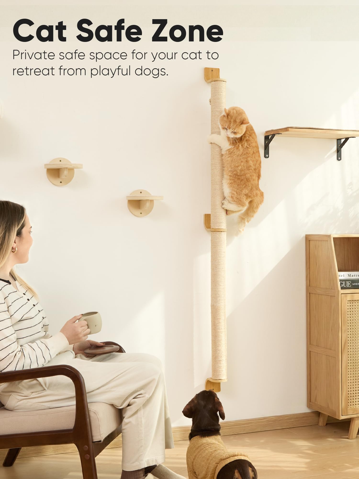 FUKUMARU 20kg load-tested stability ensures a sturdy scratching surface.