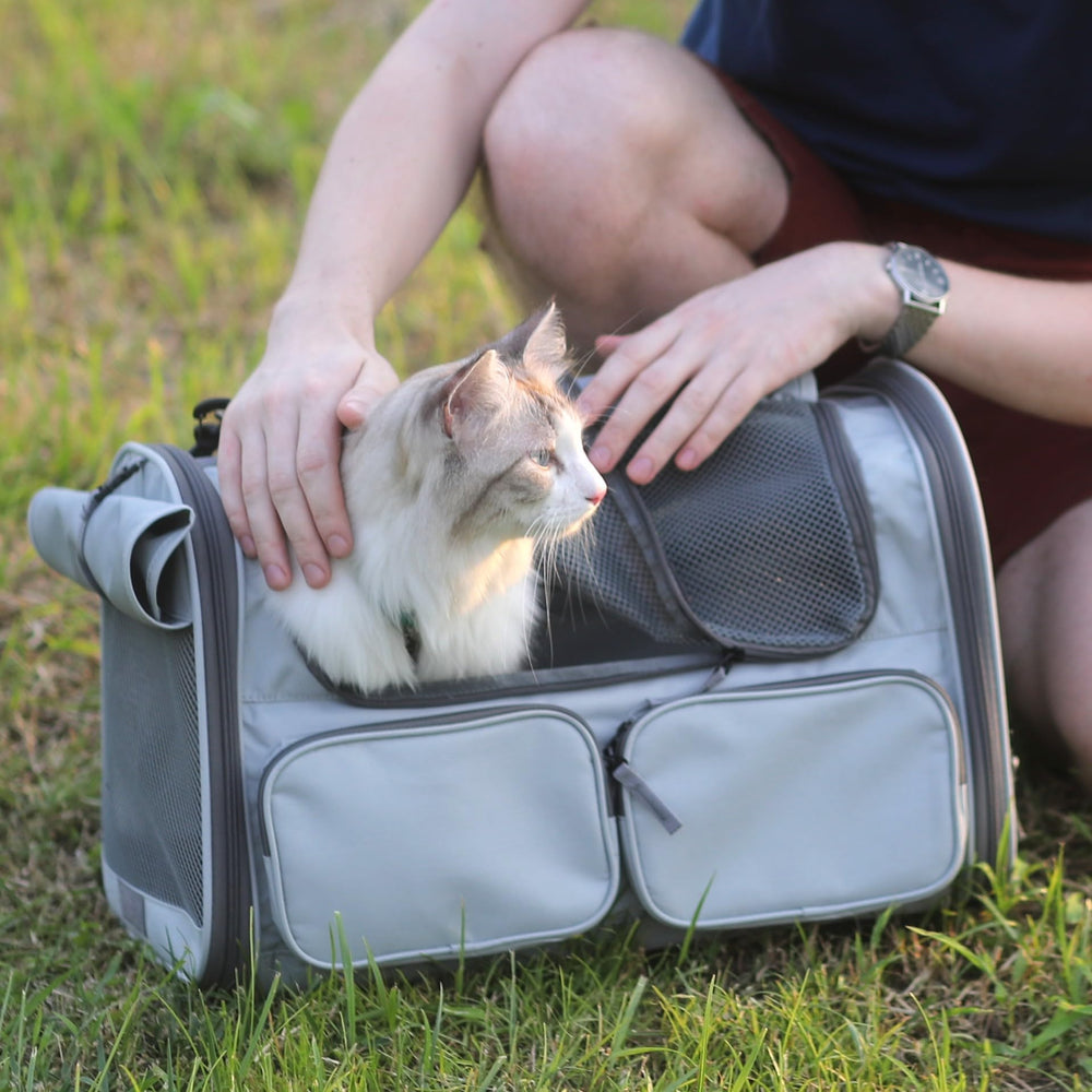 FUKUMARU cat carrier storage pockets offer organization during trips