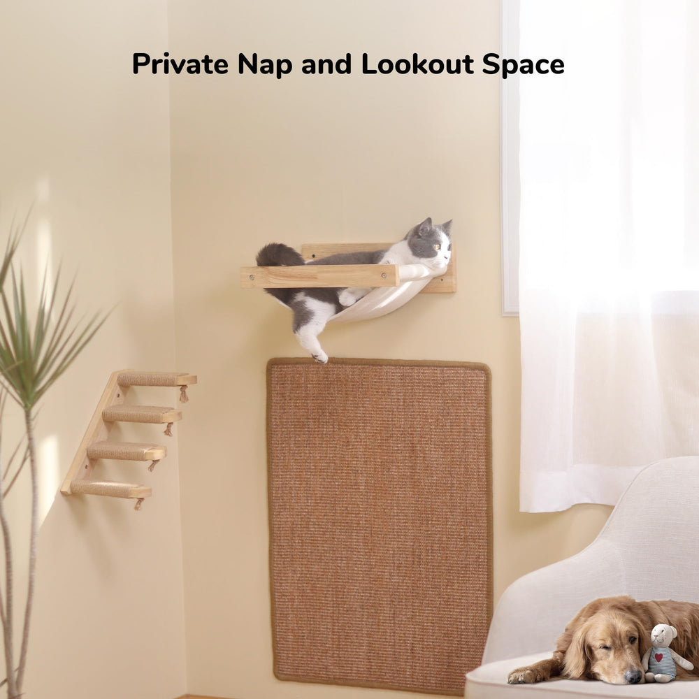 FUKUMARU cat climbing perches layout showcases versatile wall setup for exploration