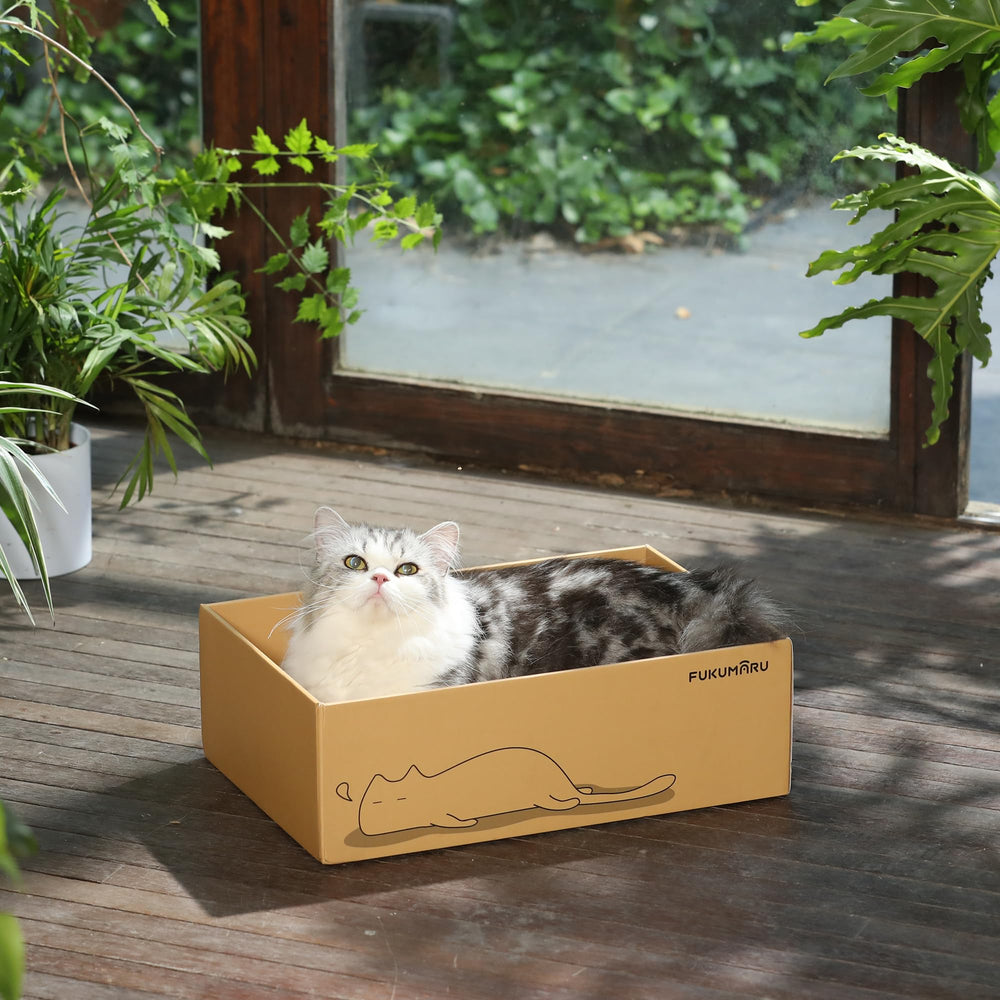 FUKUMARU cardboard cat house feature invites cats to lounge or nap inside.