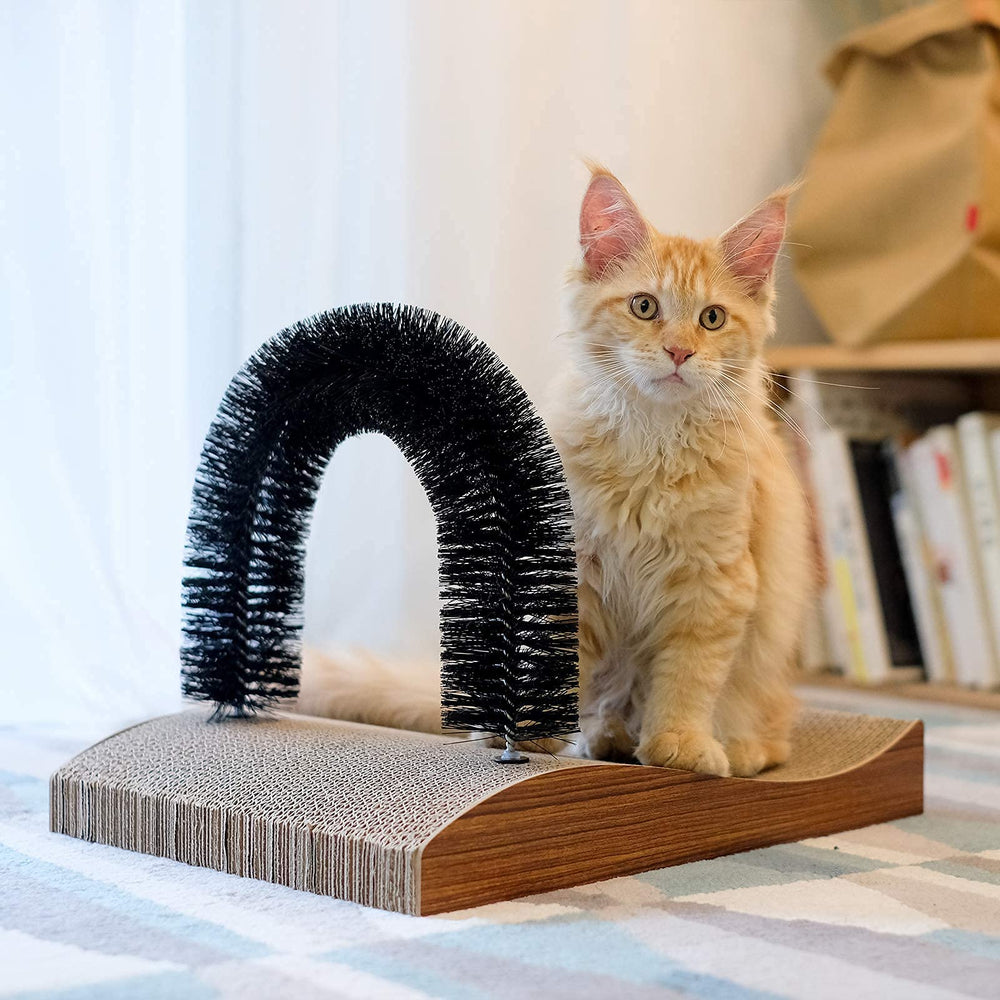 FUKUMARU cat lounge area offers a cozy, safe spot.