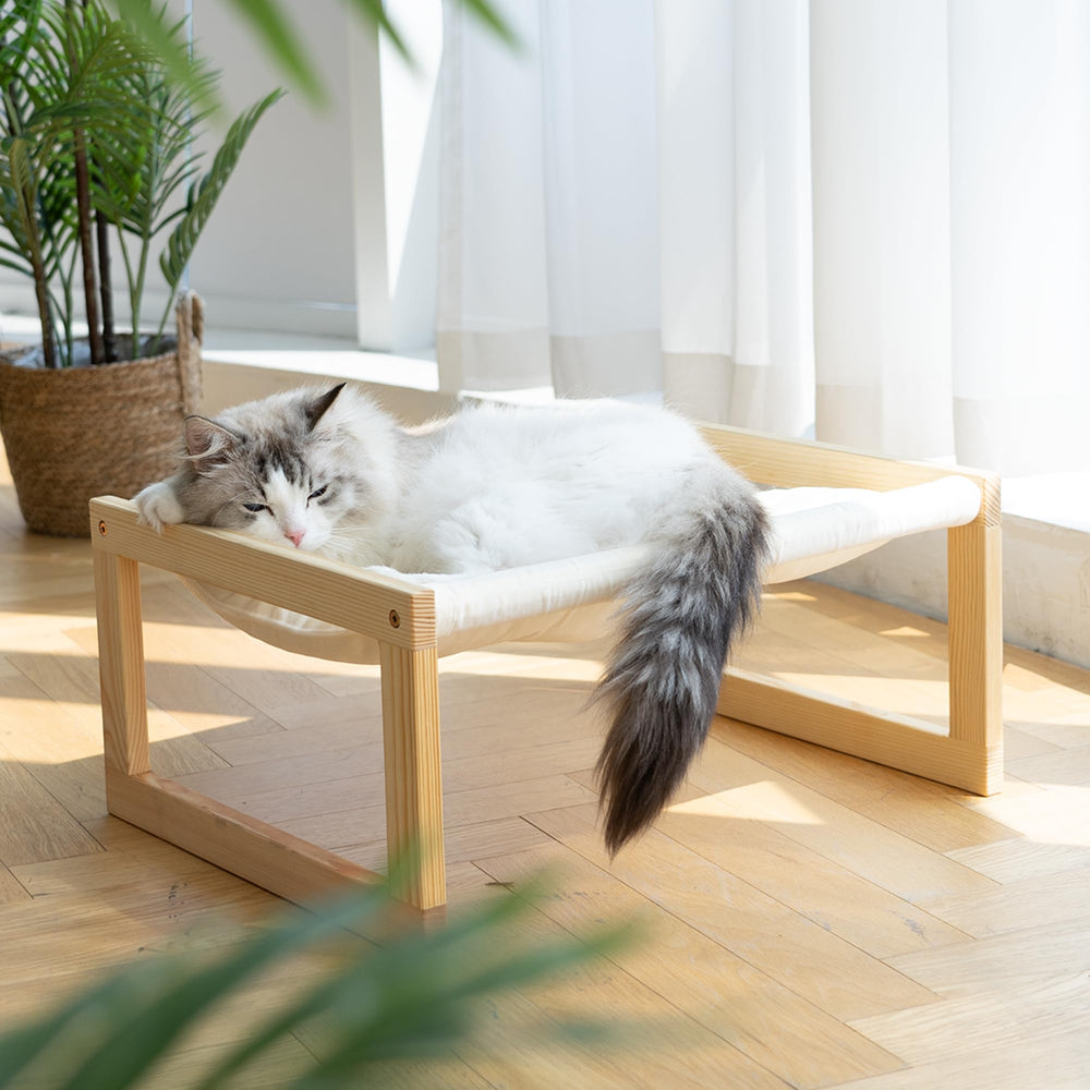 FUKUMARU cat-perch view from above highlights supervision
