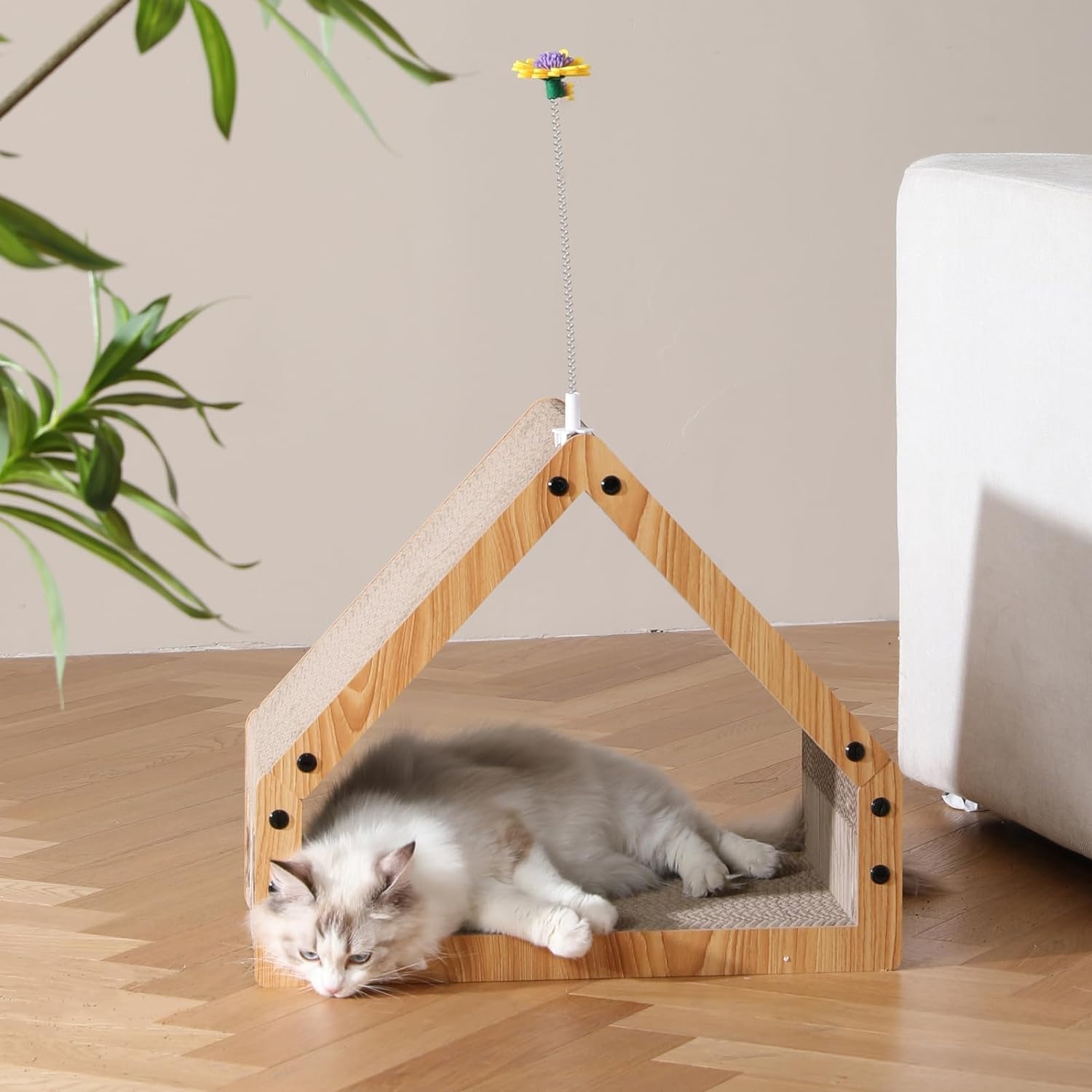 FUKUMARU design helps keep sofas safe from clawing during daytime play.