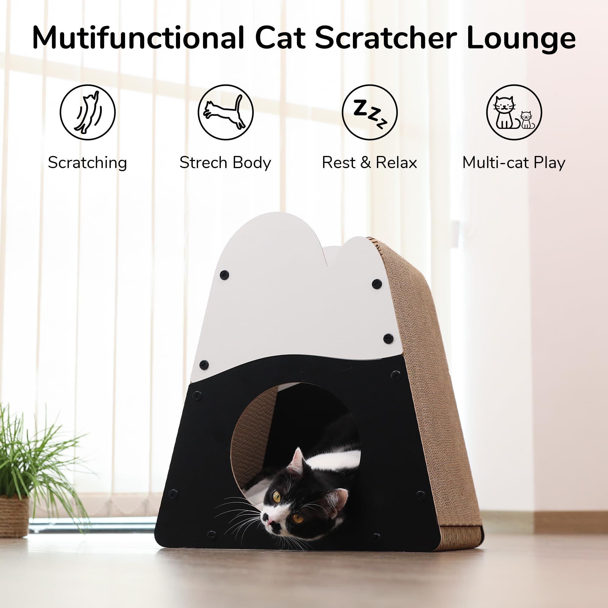 FUKUMARU mountain shape board provides secure scratching and resting