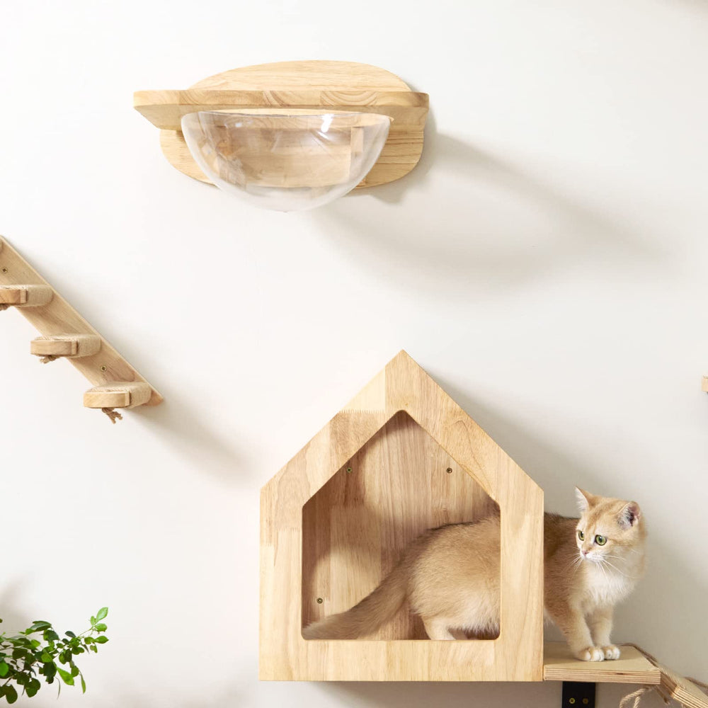 Capsule and pedals dimensions optimized for cat comfort and safety.