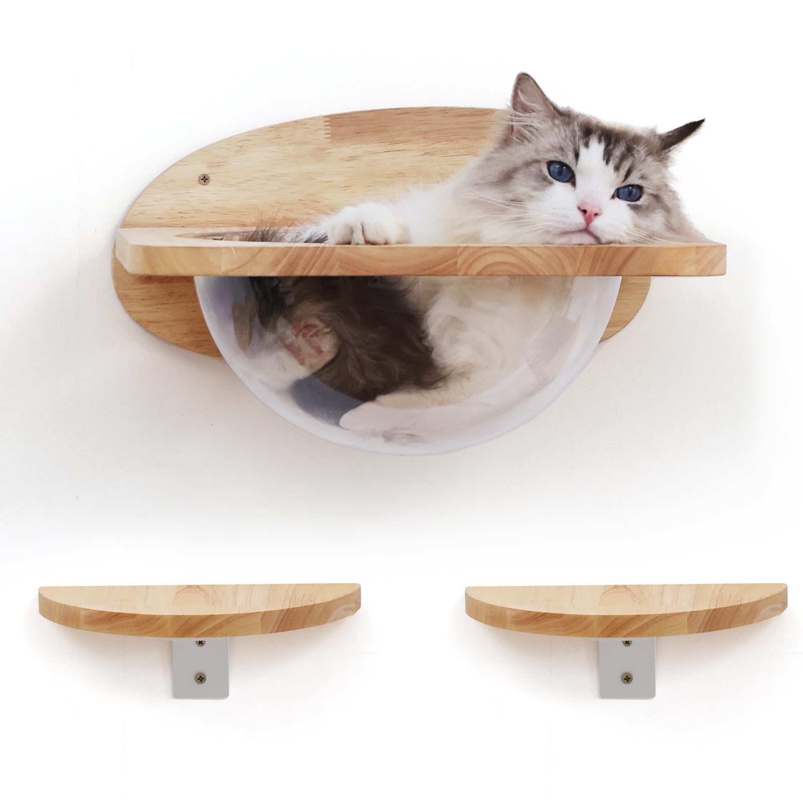 FUKUMARU transparent capsule shelves enhance visibility and curiosity for cats.