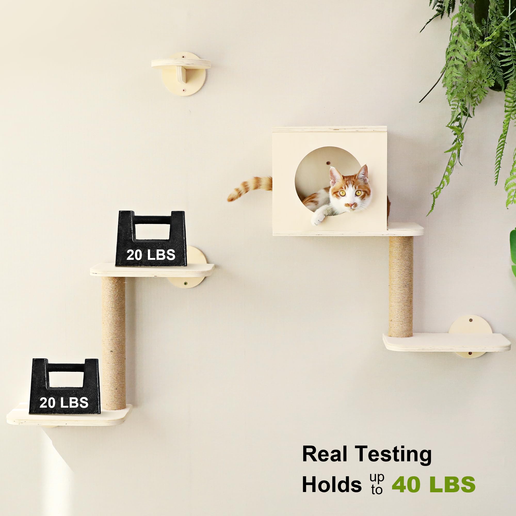 FUKUMARU Cat Wall Shelves beige finish blending with modern interiors