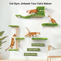 FUKUMARU cat wall shelves close-up highlights durable materials and safe finish.