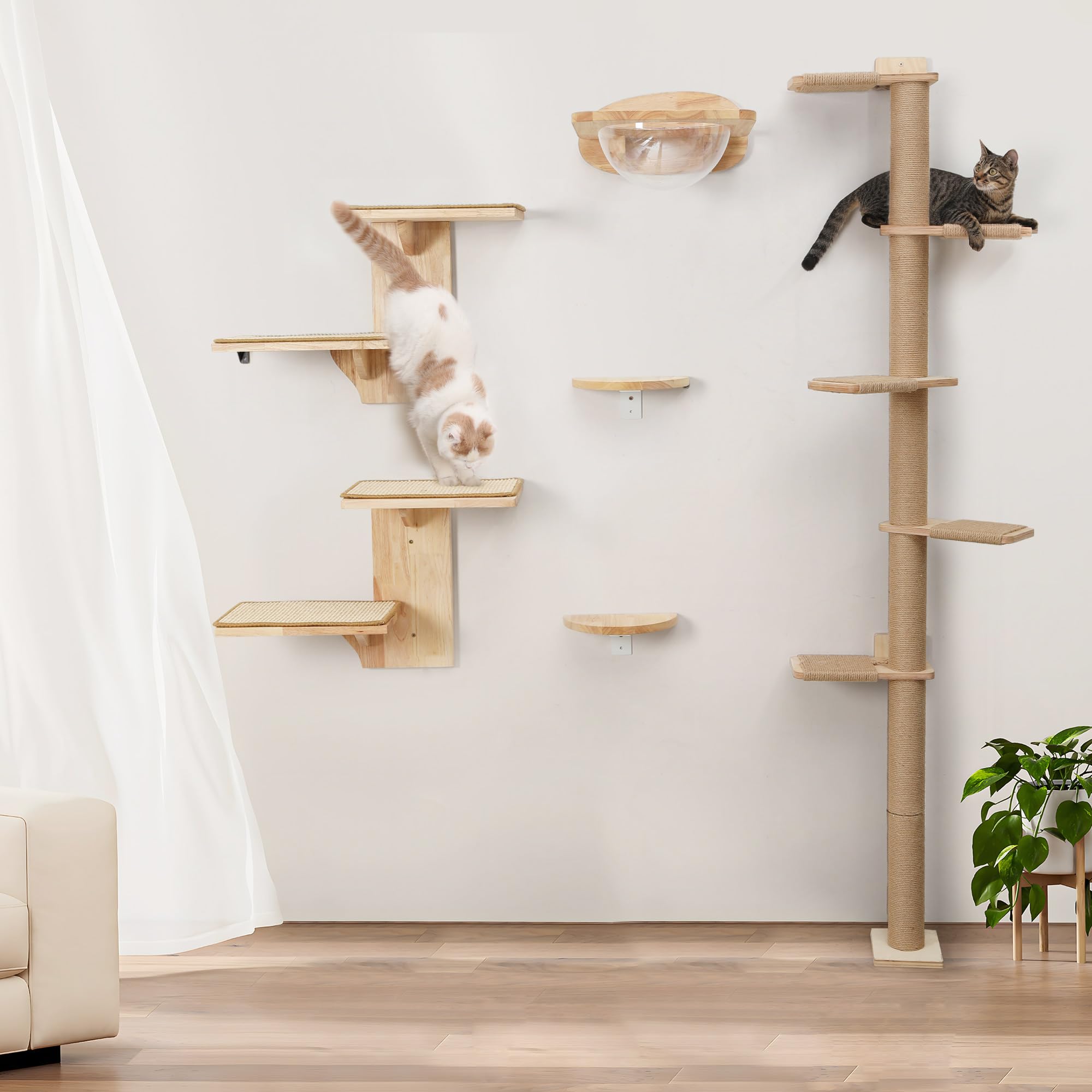 Gift-ready packaging for cat lovers and pets