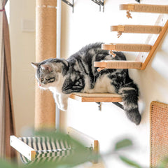 FUKUMARU cat wall shelves mounted on wall demonstrates space-saving setup.