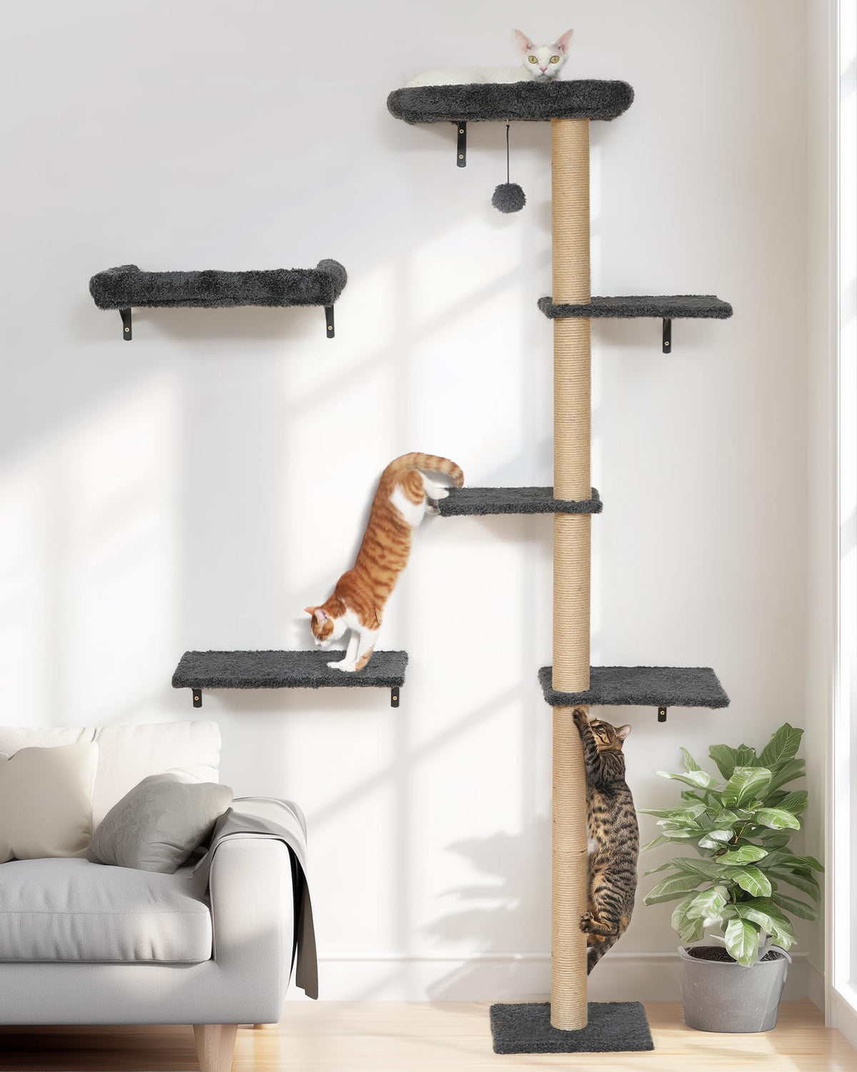 FUKUMARU cat wall shelves set on a wall, saving space and boosting play area.