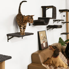 FUKUMARU cat wall shelves create private territory and play space on the wall.