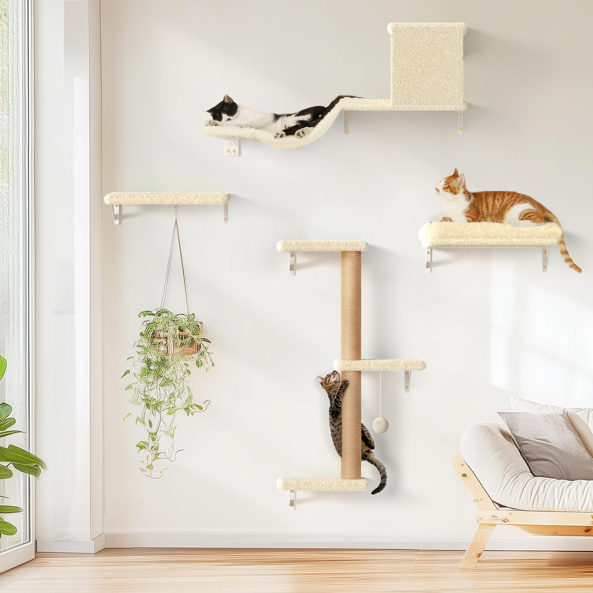 FUKUMARU cat wall shelves offer a stable, durable climbing setup for curious cats.