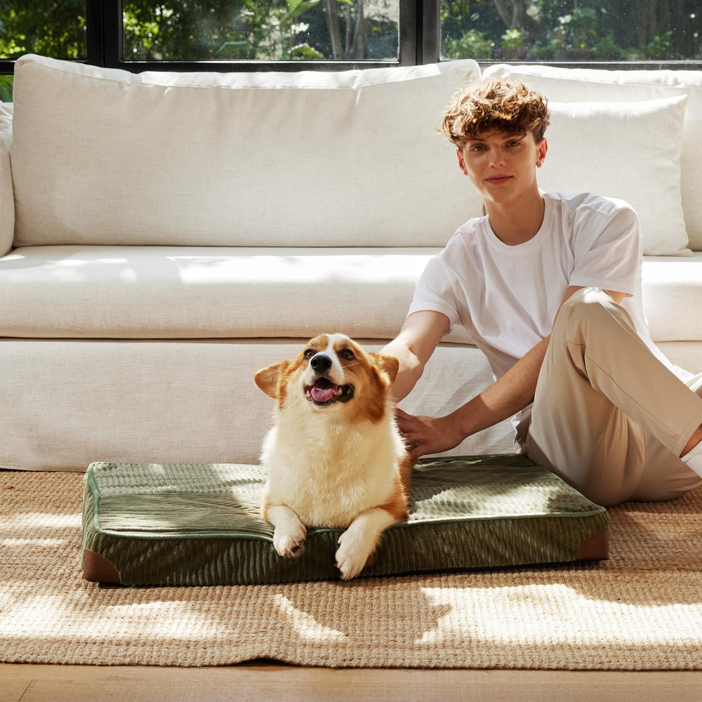 FUKUMARU dog bed patchwork design adds home decor style