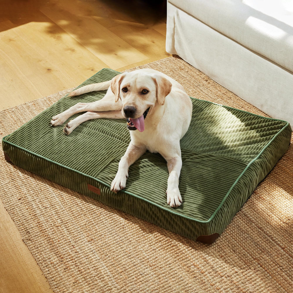 FUKUMARU dog bed patchwork design adds modern style.