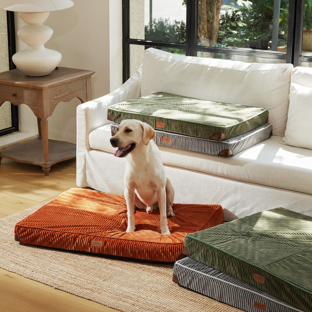 FUKUMARU dog bed available in multiple colors and sizes