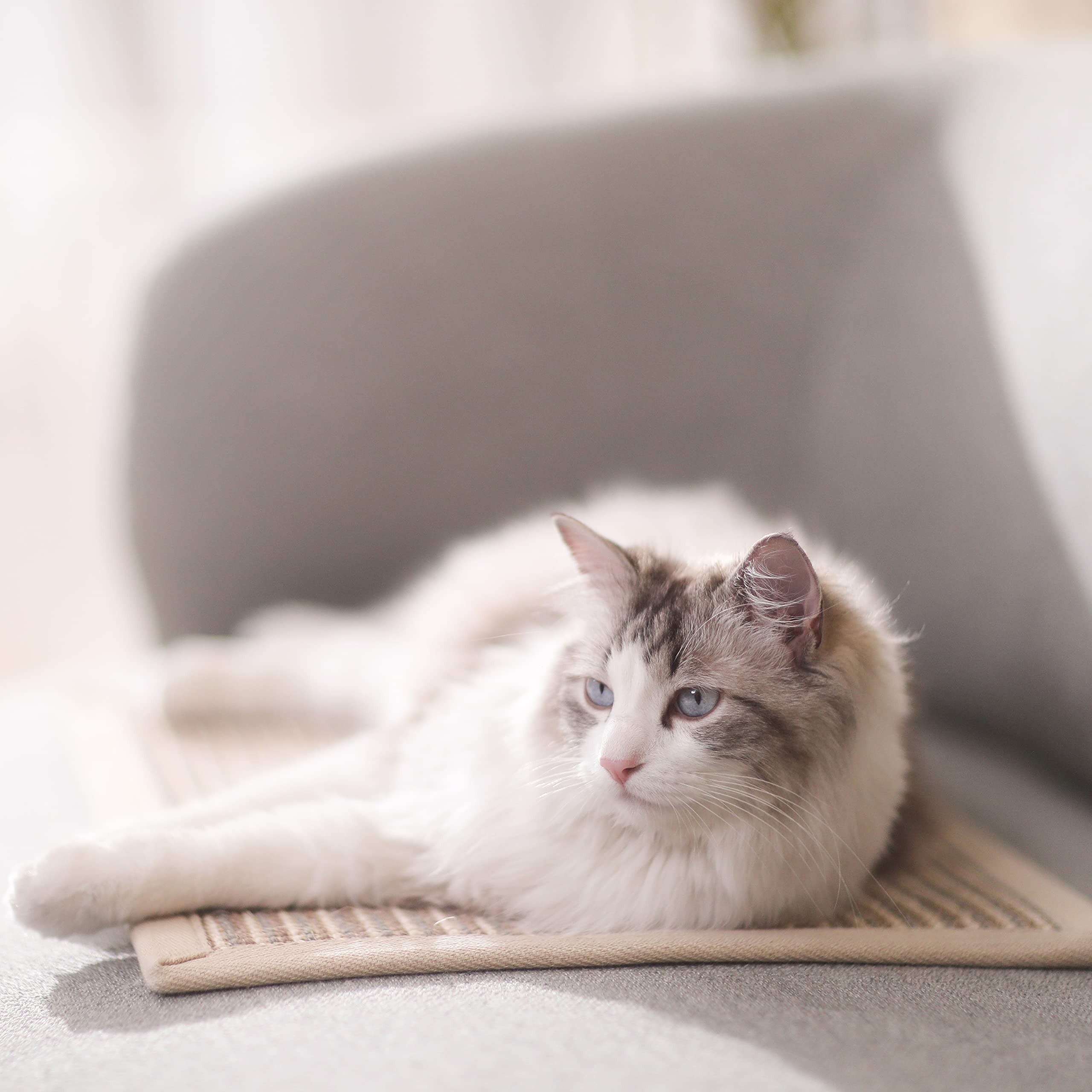 FUKUMARU durable sisal mat aids claw maintenance and furniture protection