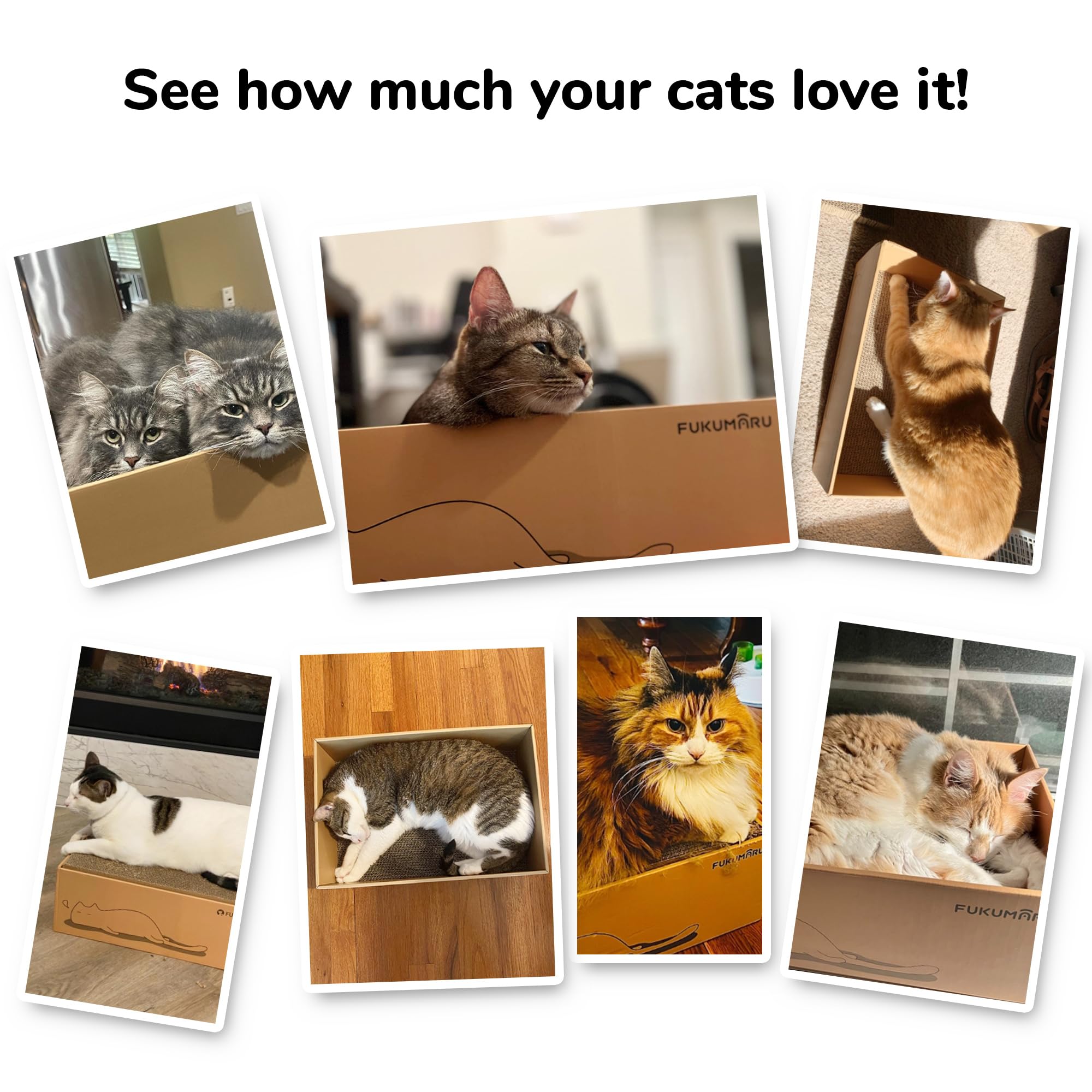 FUKUMARU eco-friendly cardboard packaging showcases sustainable pet product.