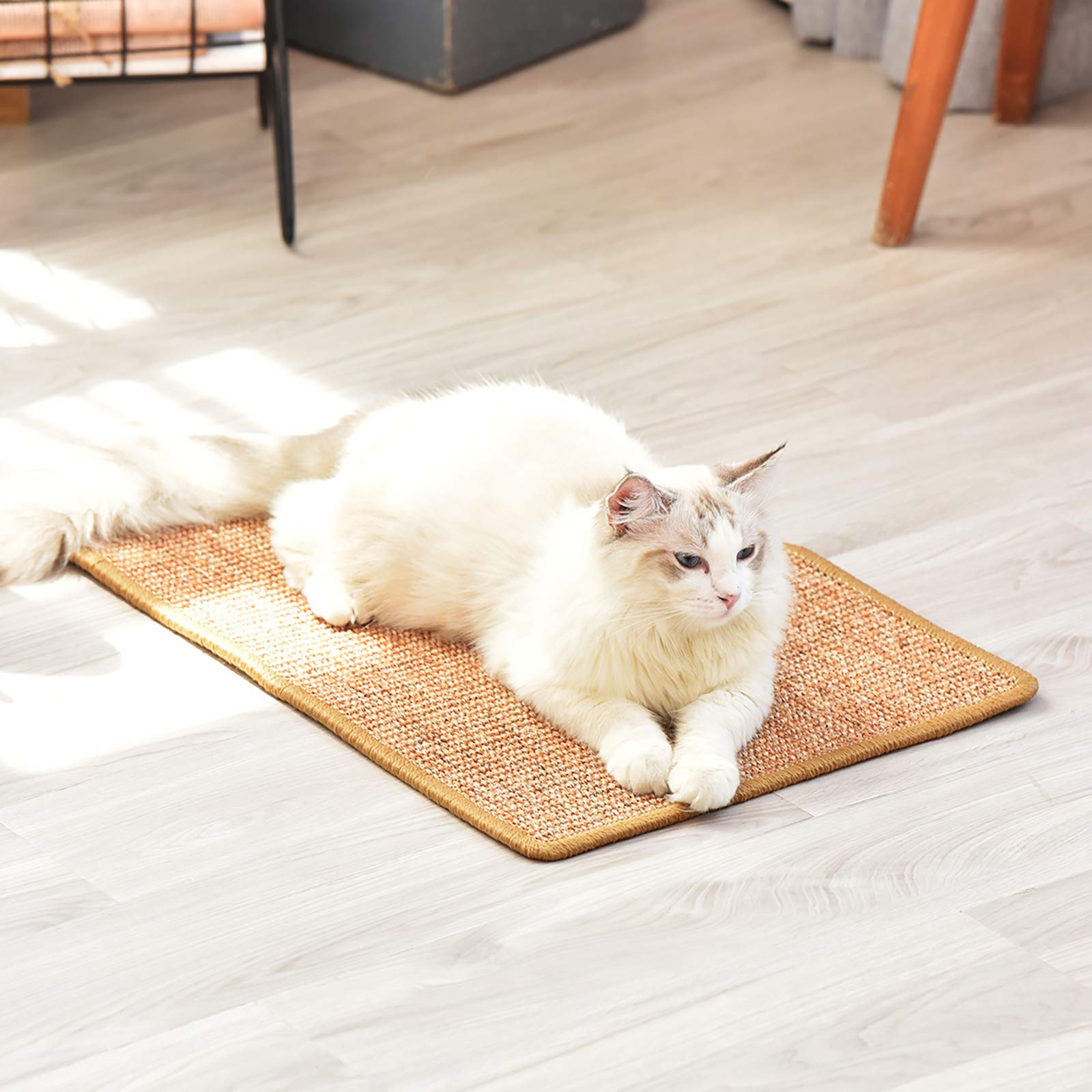 FUKUMARU eco-friendly cat scratcher supports sustainable pet care
