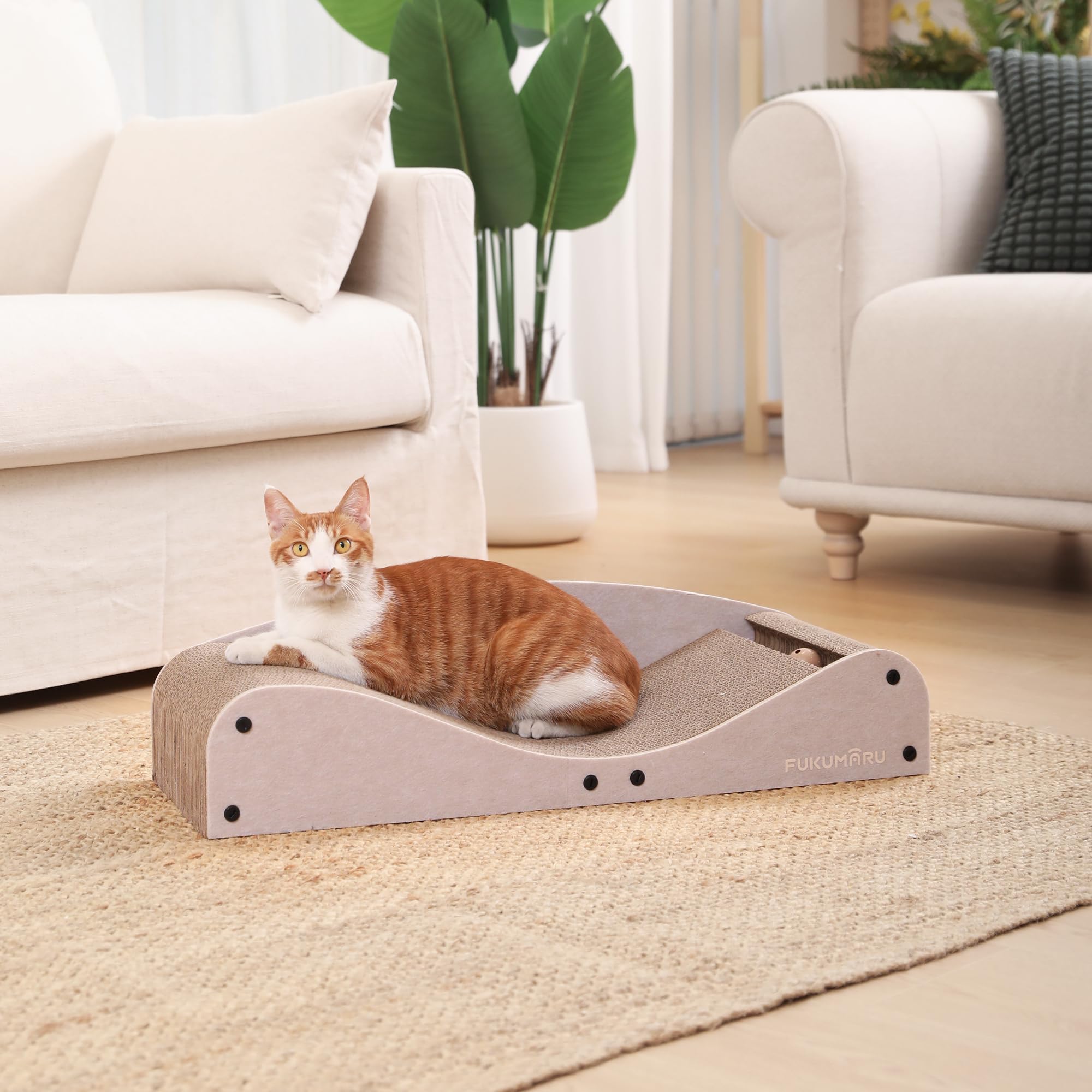 Compact packaging and easy setup reflect practical, minimalist design