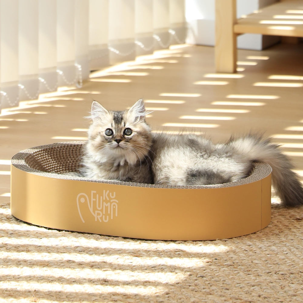 FUKUMARU ergonomic nest promotes calm lounging for cats.