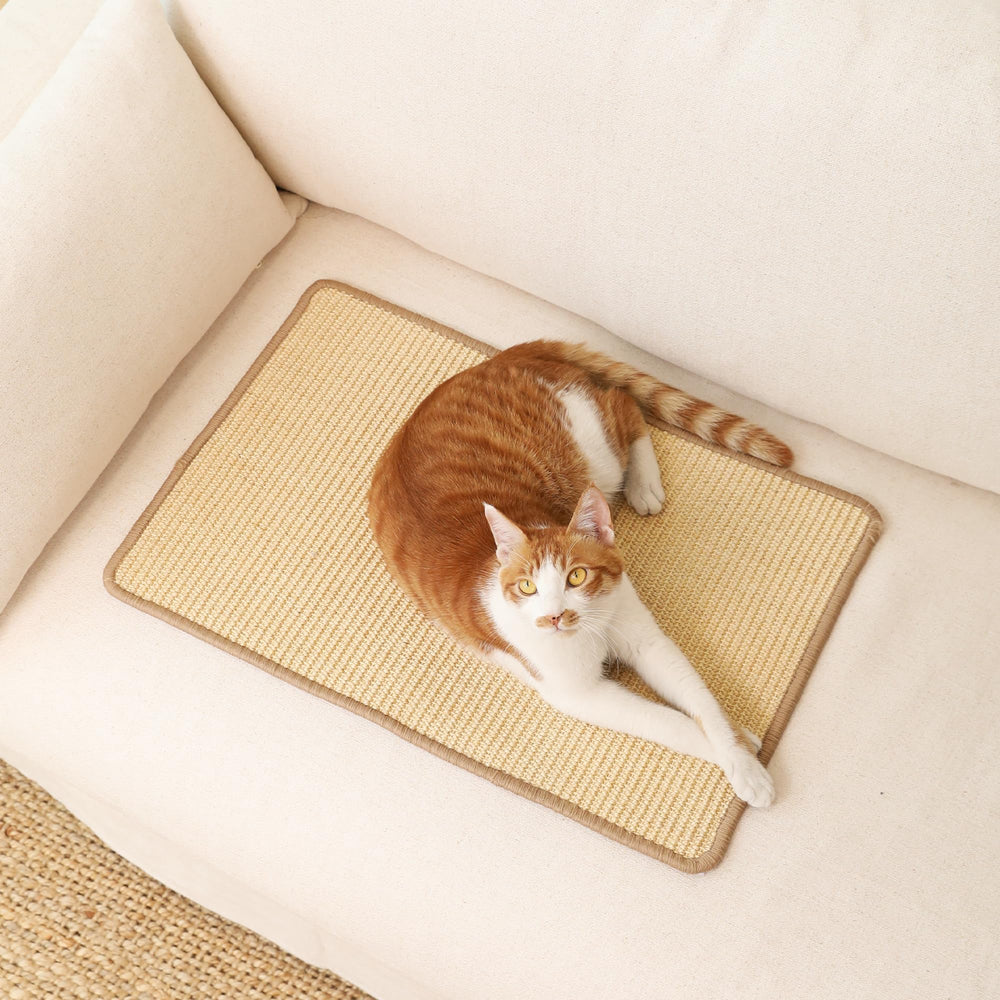 FUKUMARU floor protector in action guarding carpets and furniture