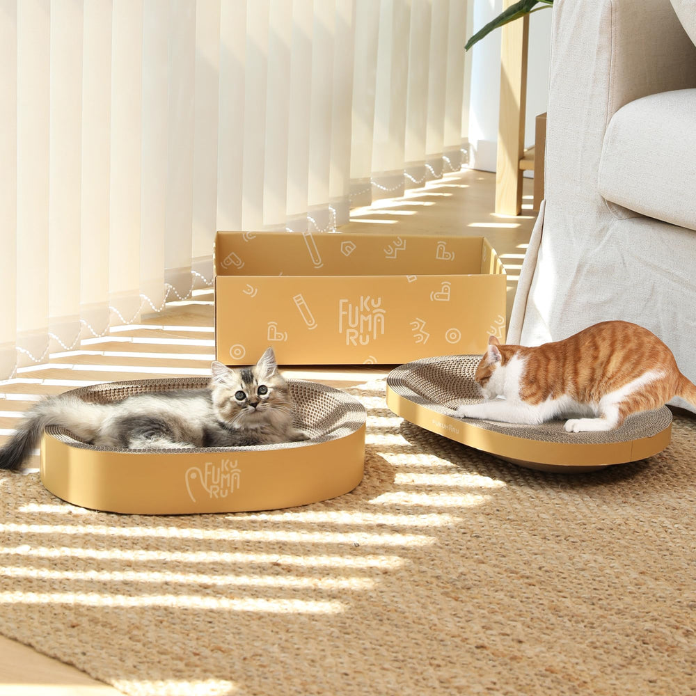 FUKUMARU furniture-protection design diverts scratching from furniture.