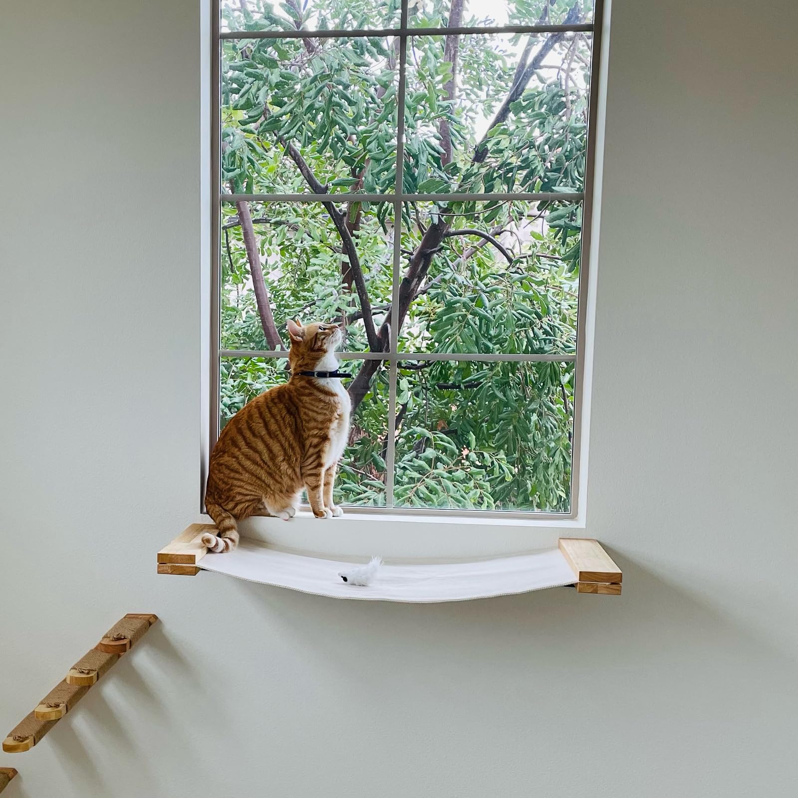FUKUMARU handmade rubberwood pet furniture blends durability with natural charm