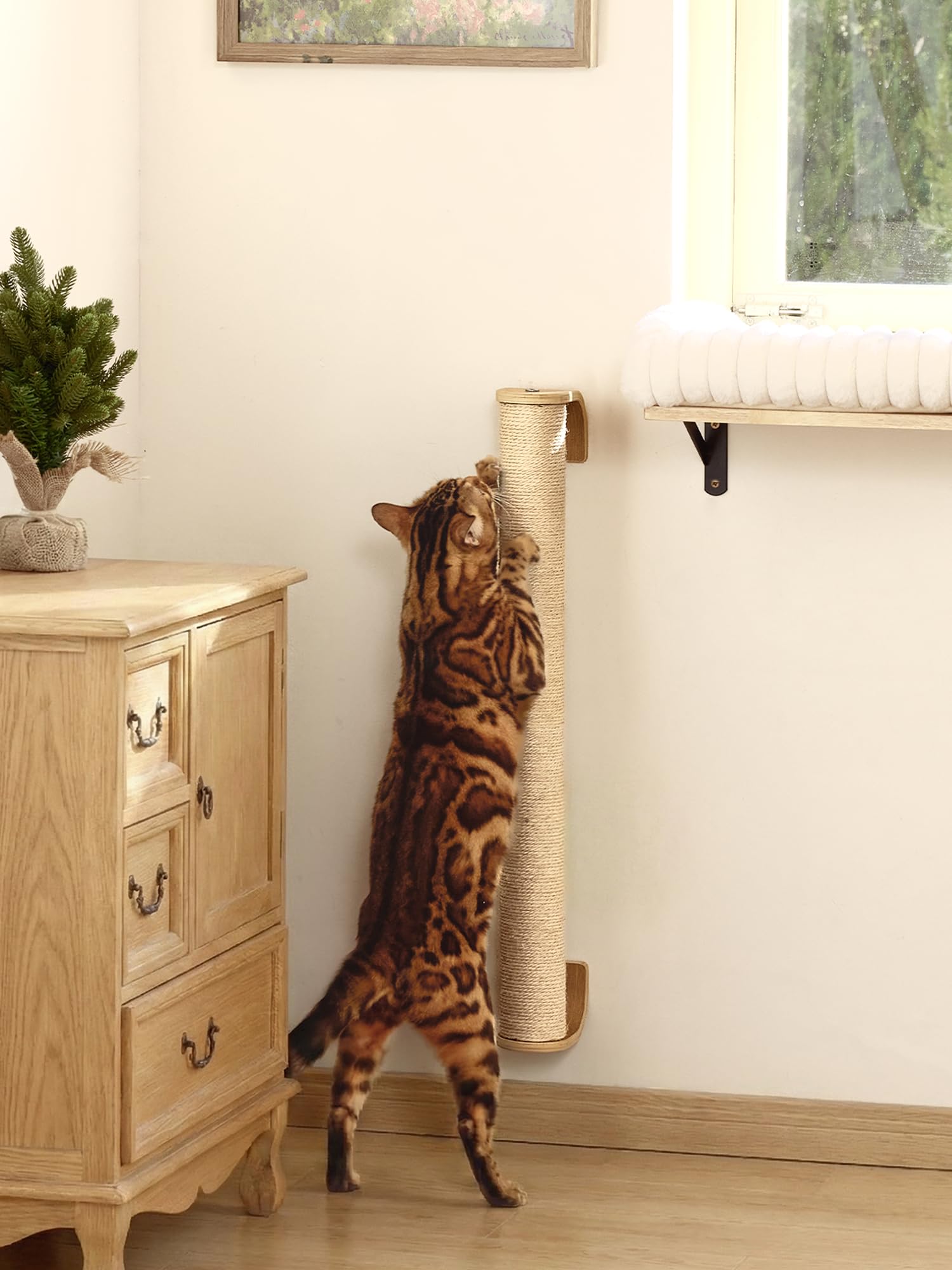 FUKUMARU ideal for apartments to save space and entertain cats