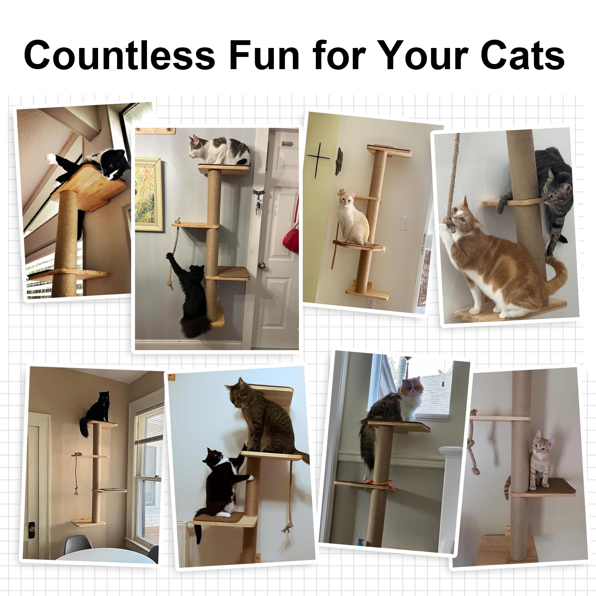 FUKUMARU wall-mounted design saves floor space for active cats.