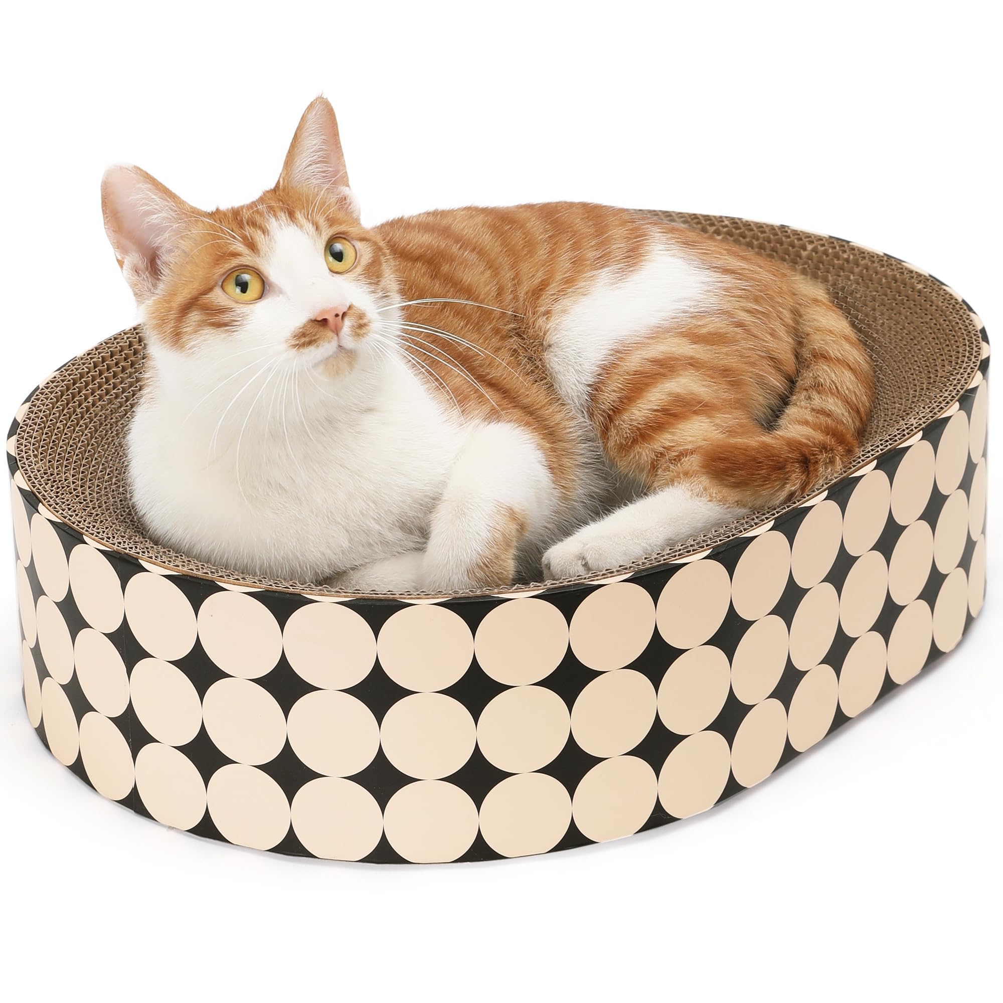 FUKUMARU oval scratch pad offers ergonomic comfort and scratching momentum