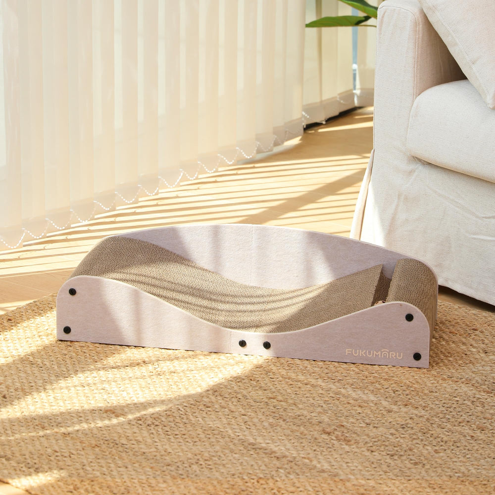 Bed placed on carpet demonstrates versatile placement options