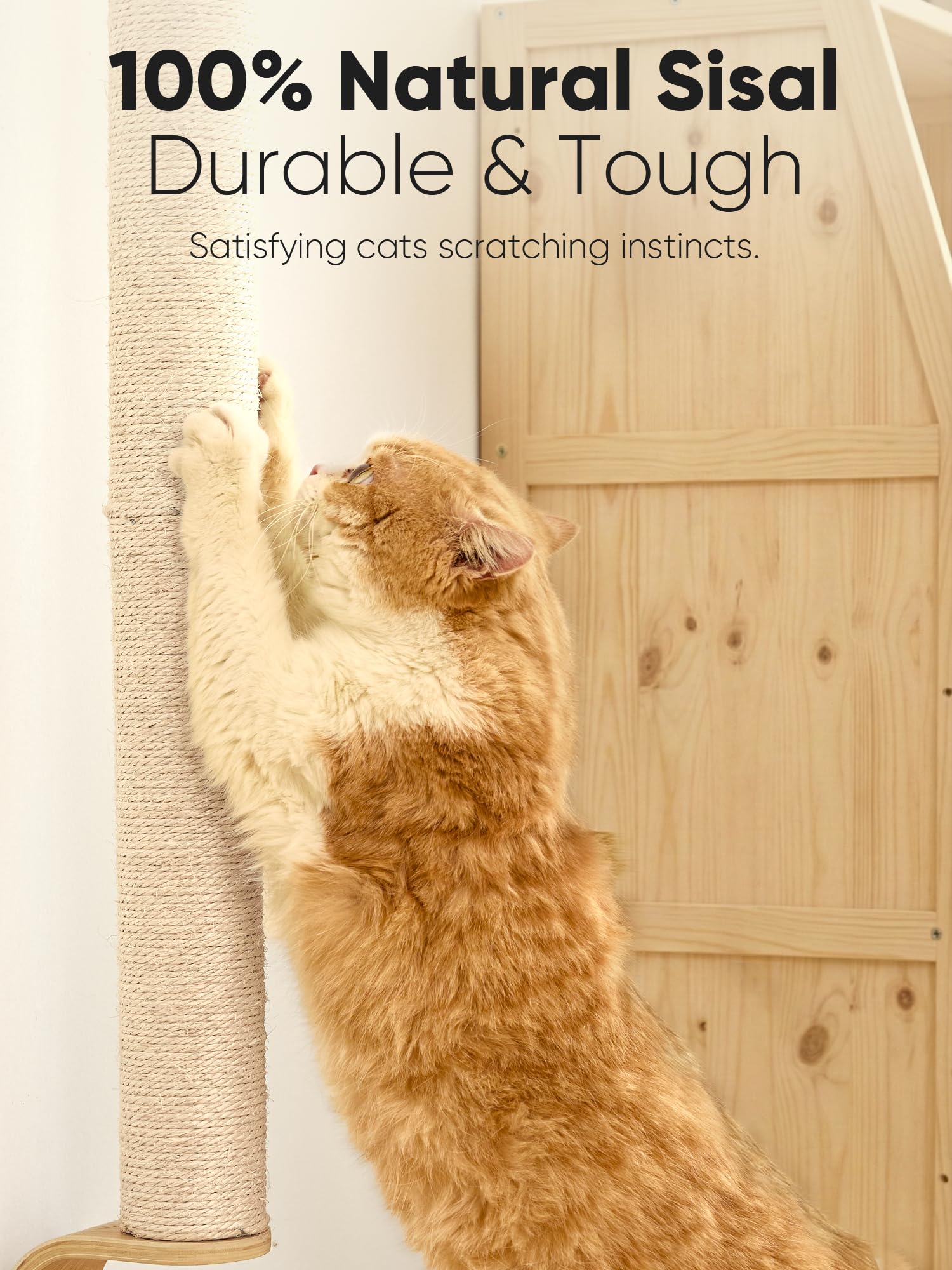 FUKUMARU natural sisal wrap satisfies cats' scratching needs